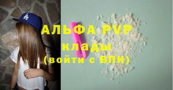 стаф Бронницы