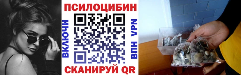Псилоцибиновые грибы GOLDEN TEACHER как найти наркотики mega зеркало Вилюйск