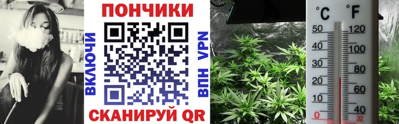 купить   Вилюйск  Бошки марихуана тримм 